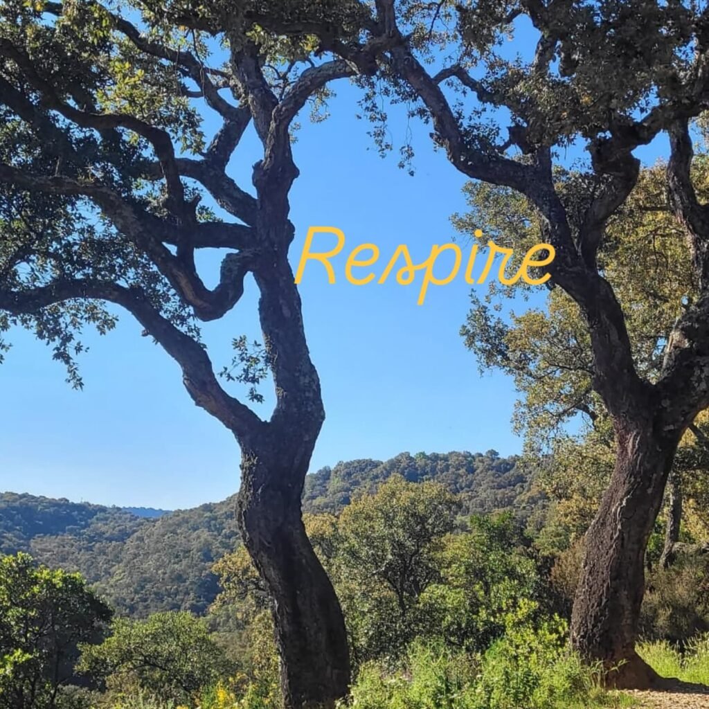 diplome_hypnose_ericksonienne_sophrologie_stress_anxieté_douleur_préparationmentale_travail_sommeil_études_émotions_confiance_permis_examens_tabac_poids_addiction_phobie_deuil_accouphènes_mémoire82